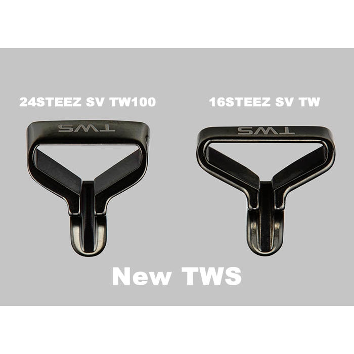 2024 Daiwa Steez SV TW 100