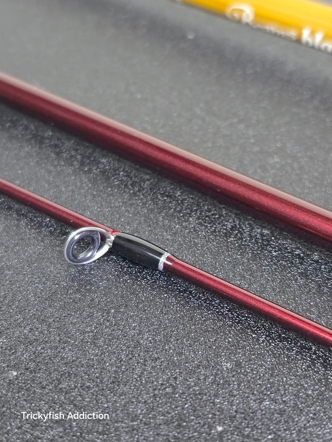 Beams Blanc Sierra 5.2UL Equality