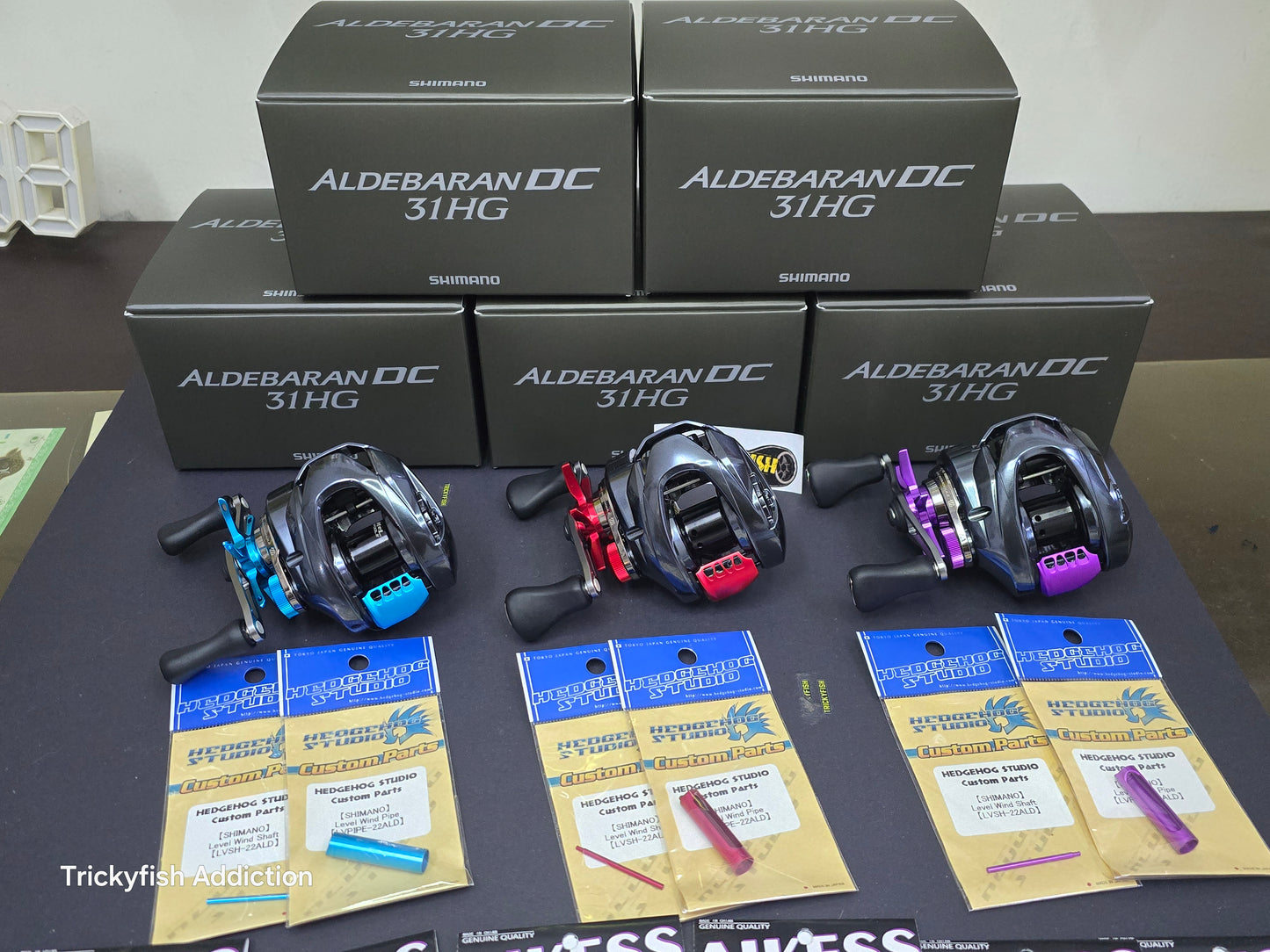 Aikess 25 Aldebaran DC 30/31 Custom Parts