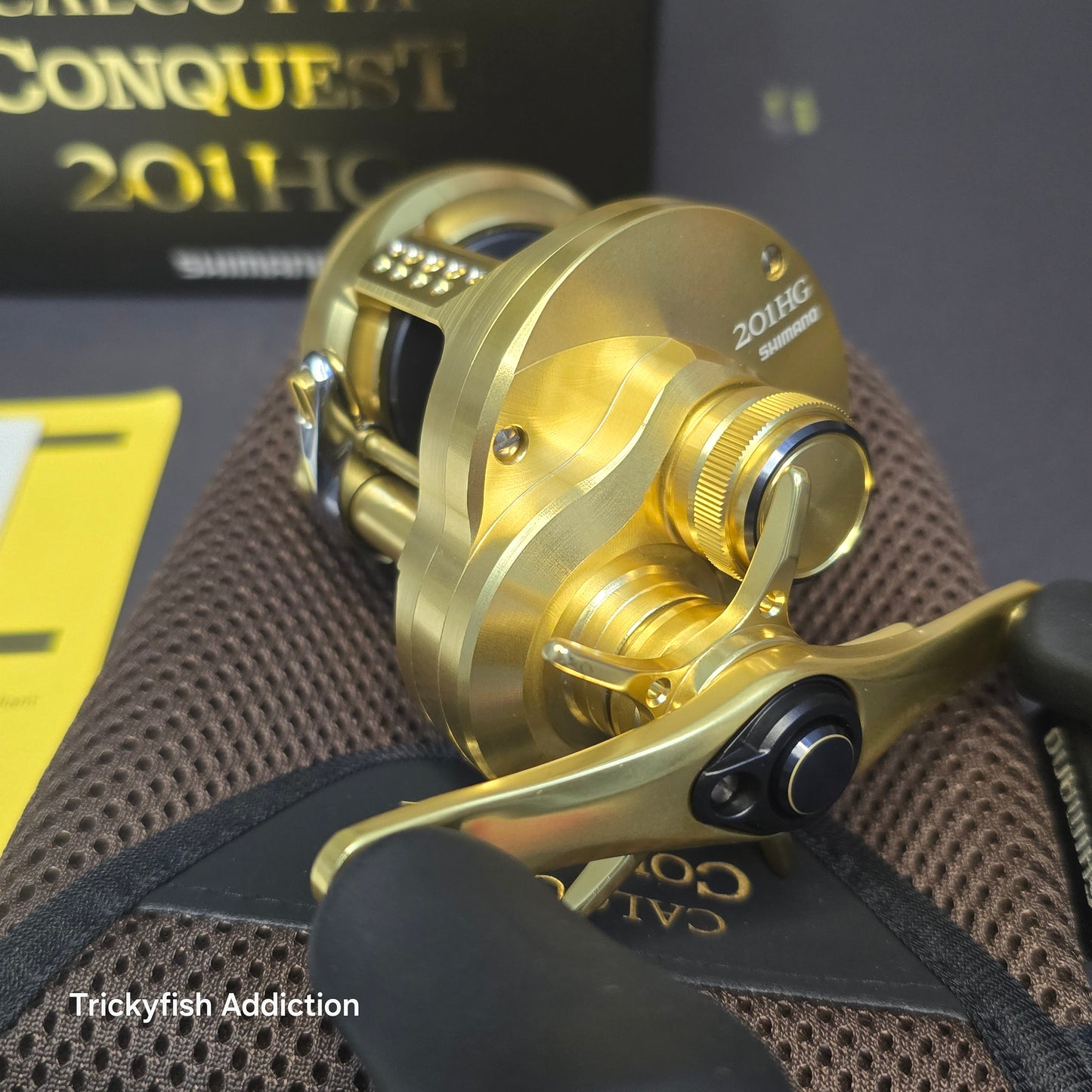 21 Calcutta Conquest 201HG Left