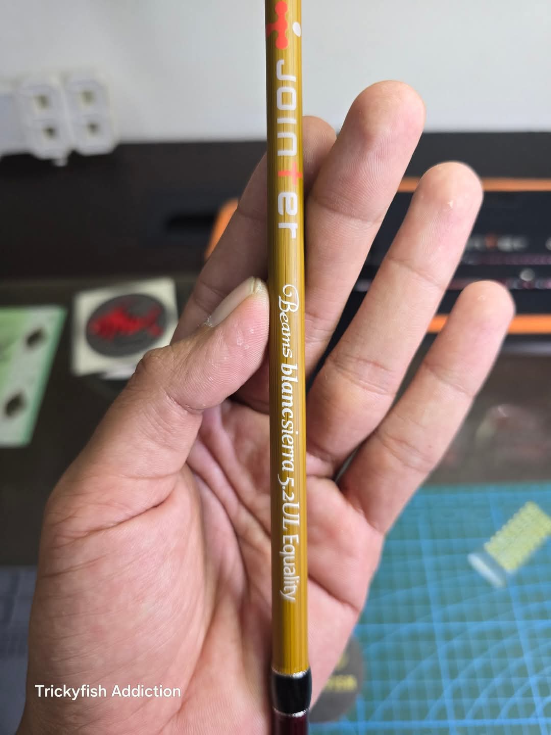 Beams Blanc Sierra 5.2UL Equality