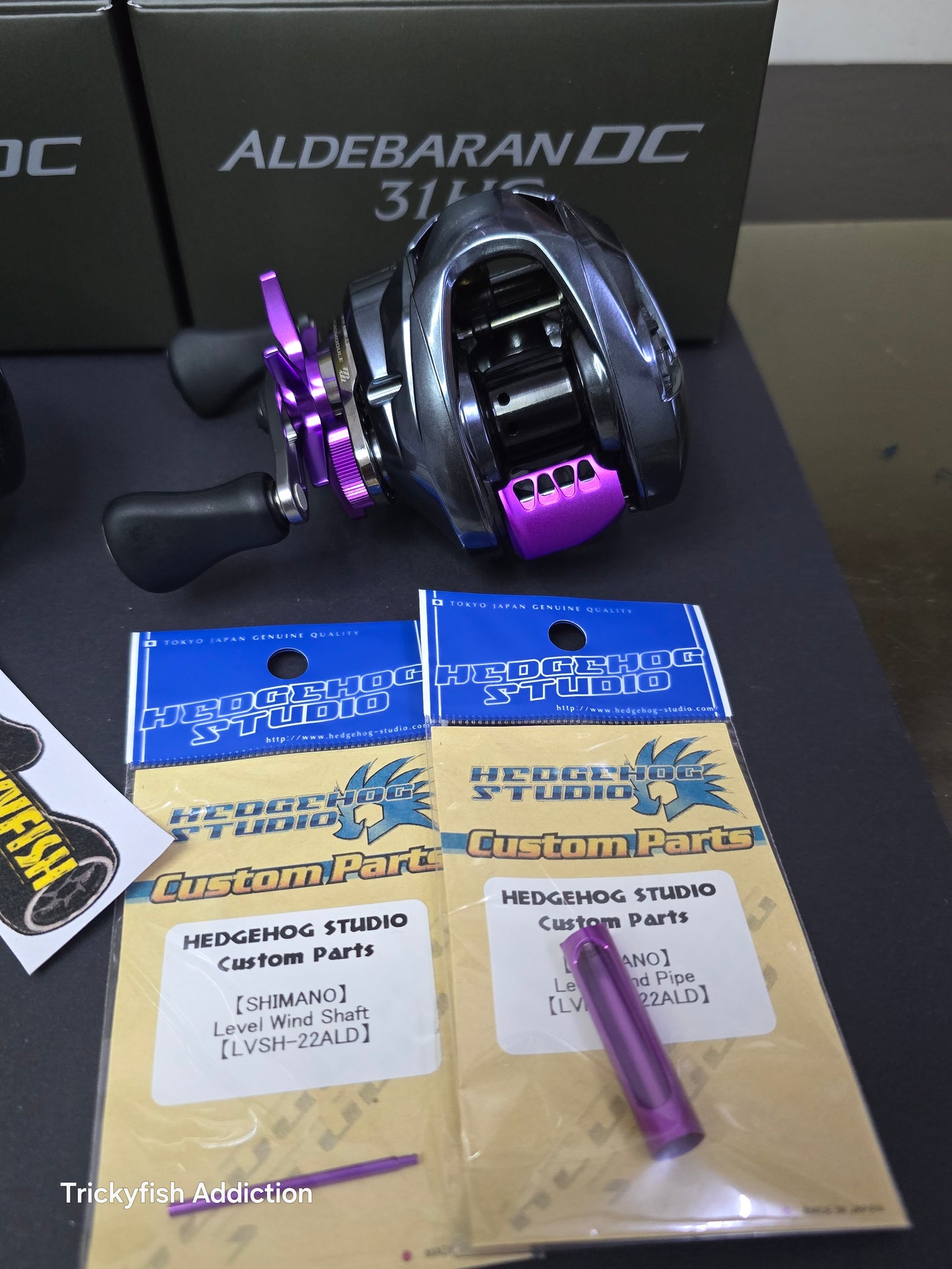 Aikess 25 Aldebaran DC 30/31 Custom Parts