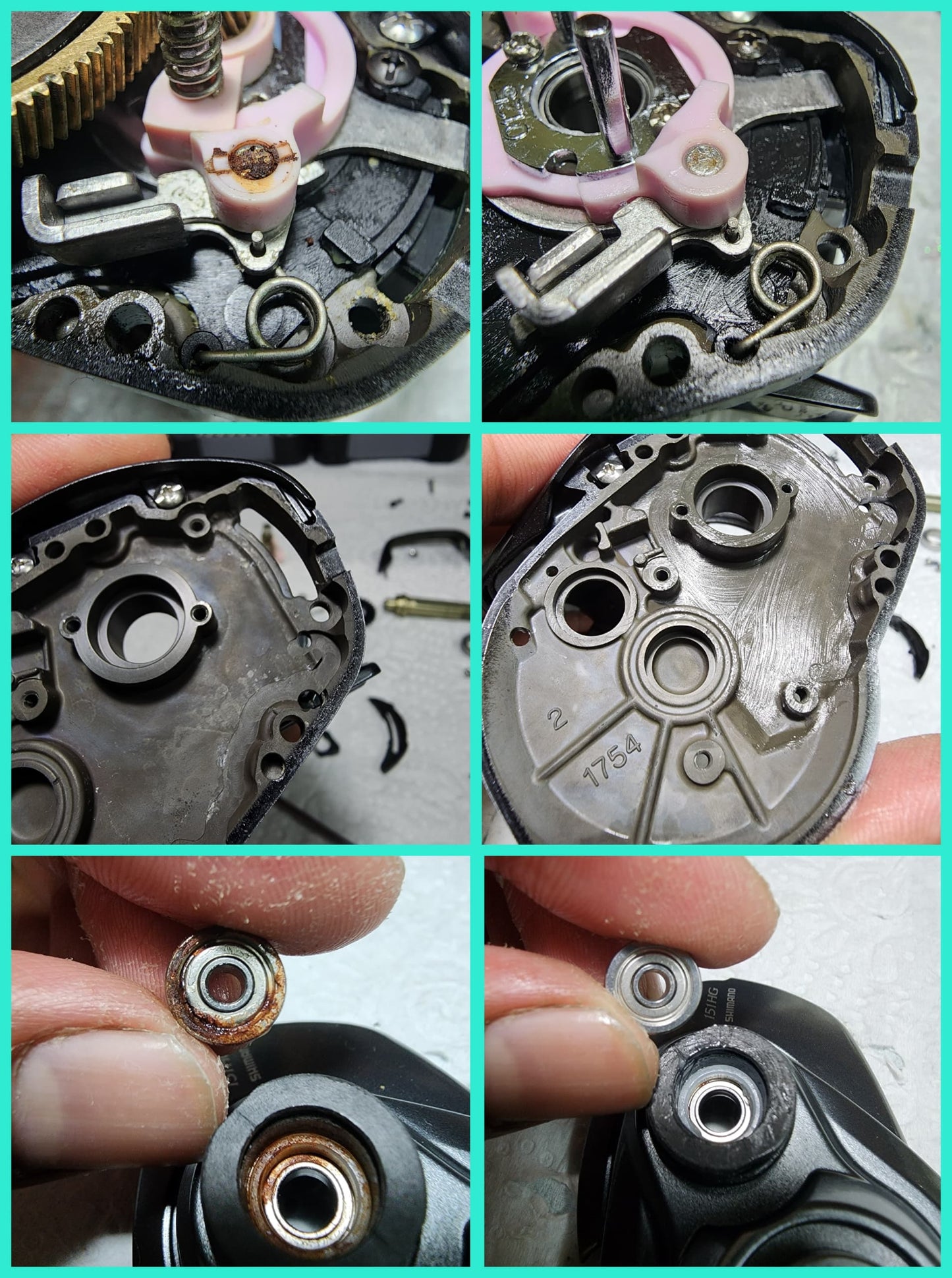 The Beast Angler - Hasrulzaman - Selangor