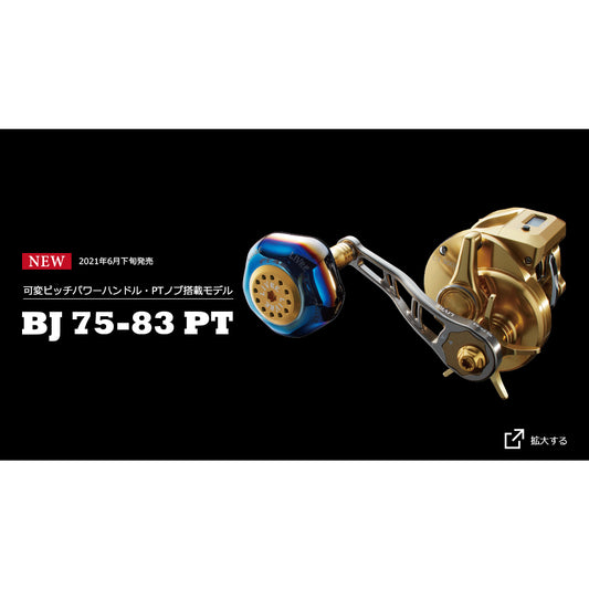 LIVRE BJ 75-83 PT Gun Metal & Gold Daiwa Shimano