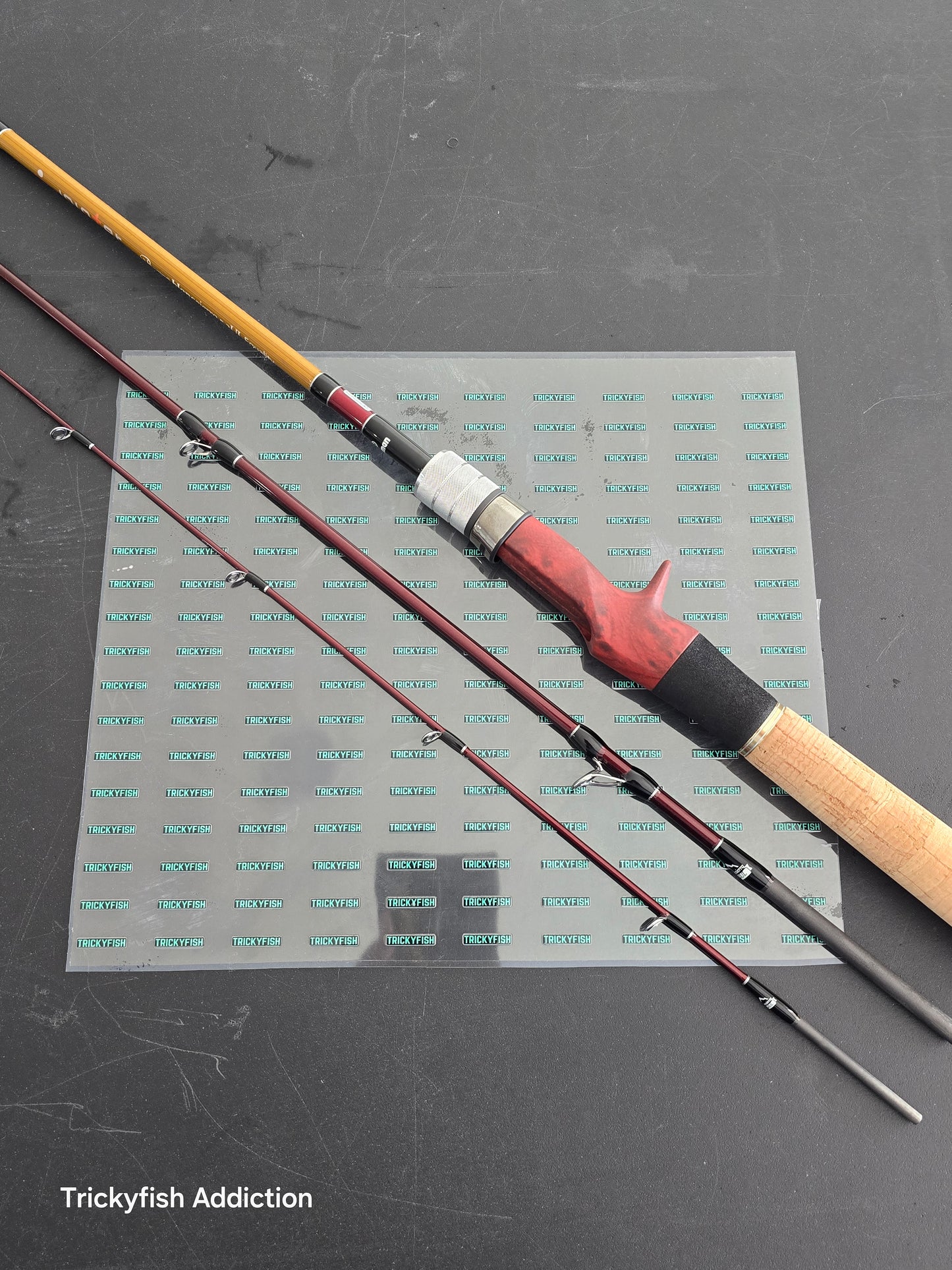 [USED A] Beams Blanc Sierra 5.2UL Equality