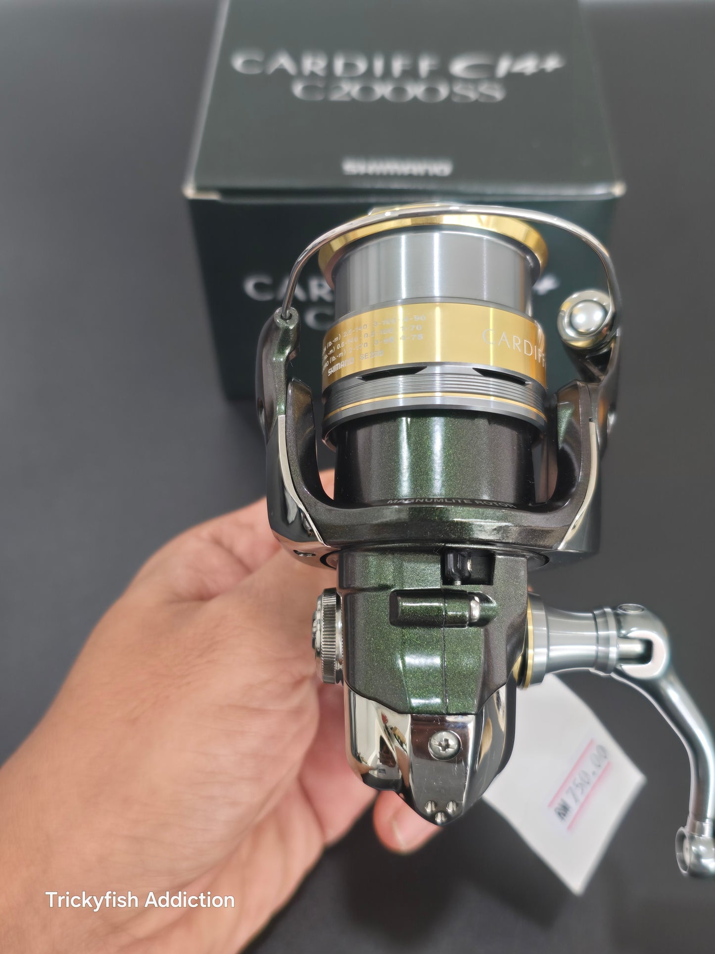 [USED A] 12 Cardiff Ci4 C2000SS