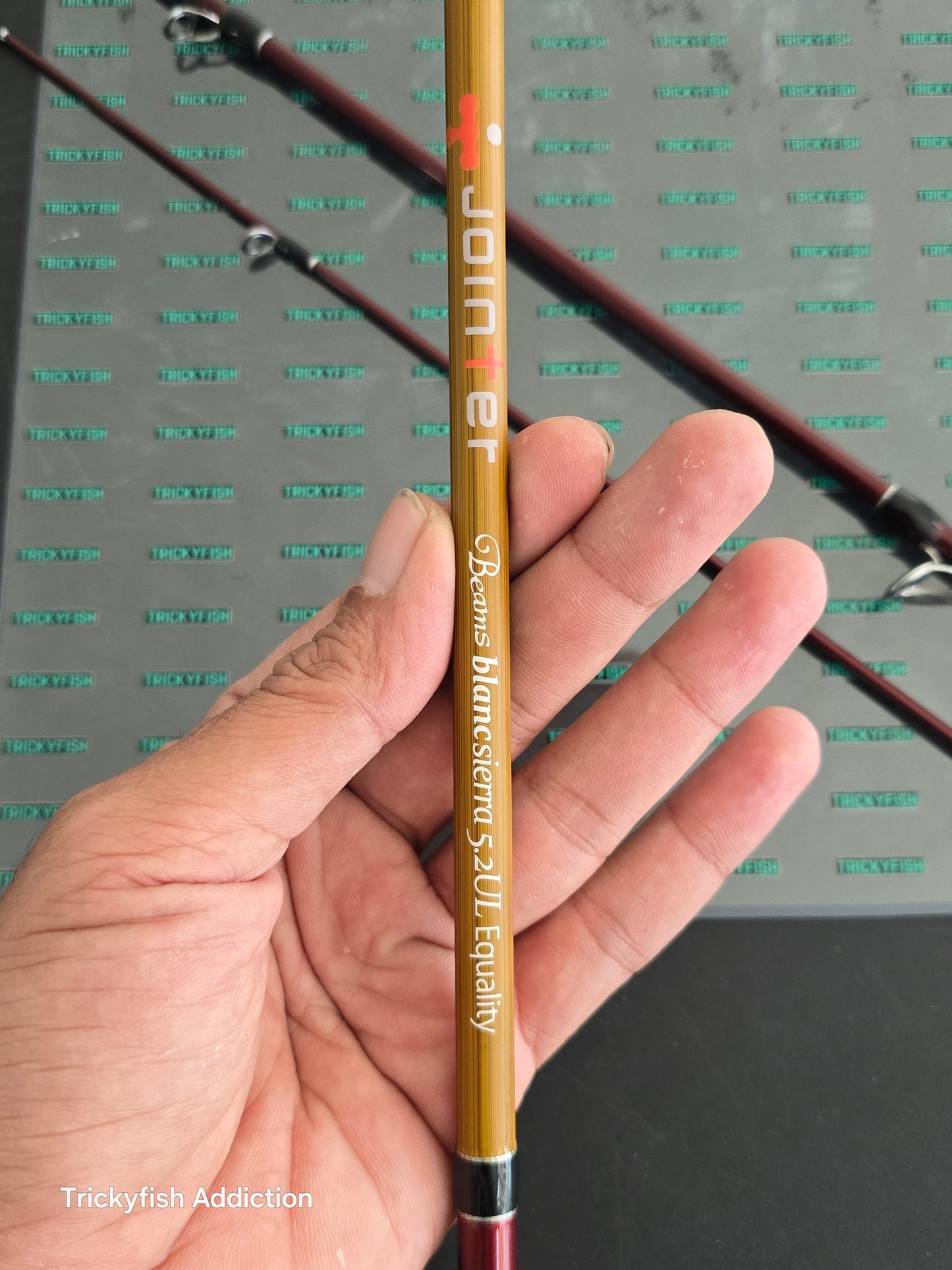 [USED A] Beams Blanc Sierra 5.2UL Equality