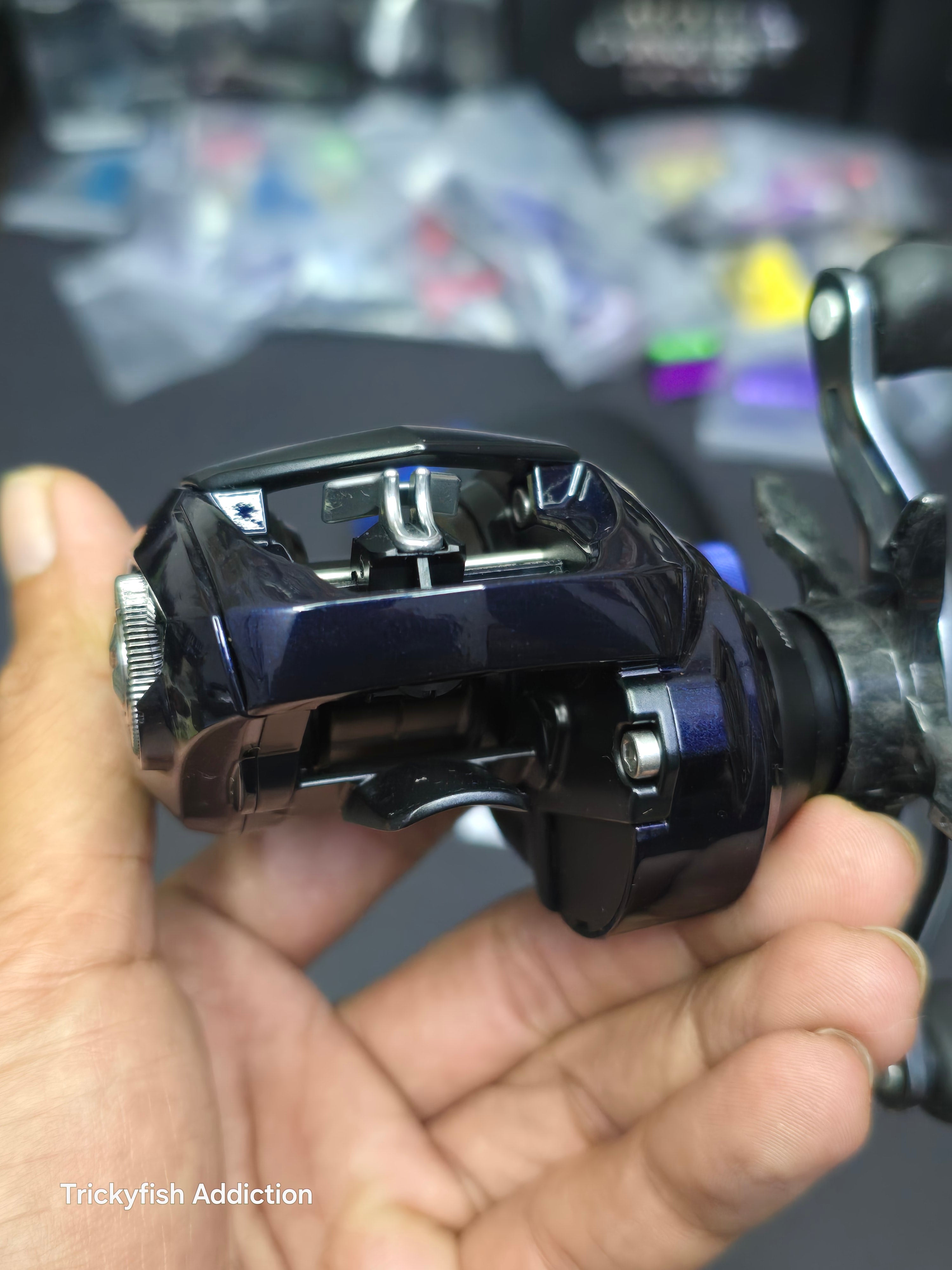 ダイワ 23 SALTIST SV TW 80XHL PE SPECIAL Daiwa 23 Saltist SV TW 80XHL PE Special (Left handle)