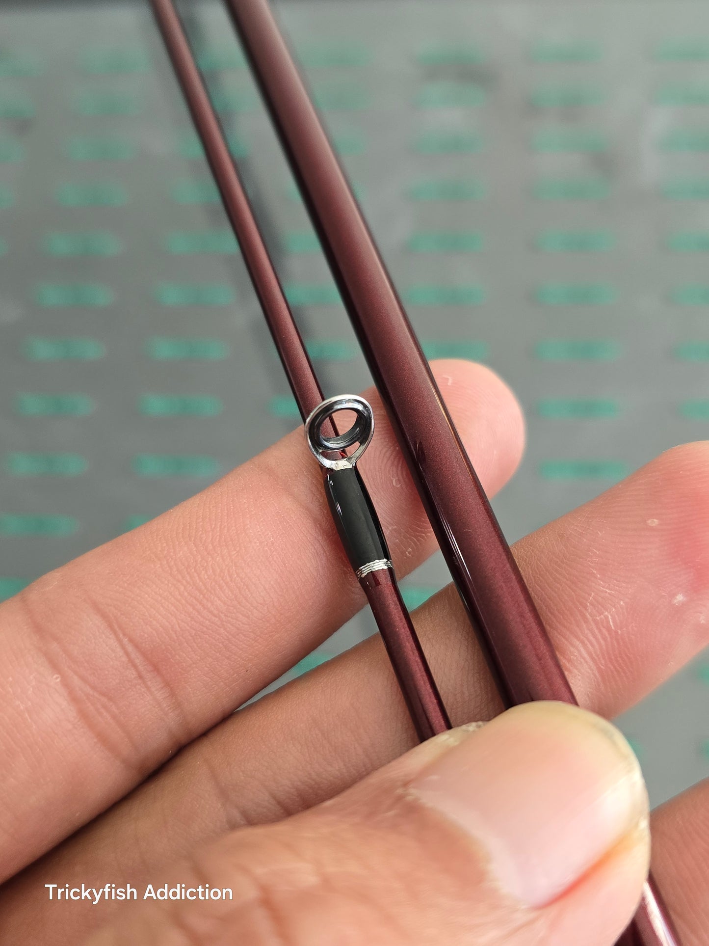 [USED A] Beams Blanc Sierra 5.2UL Equality