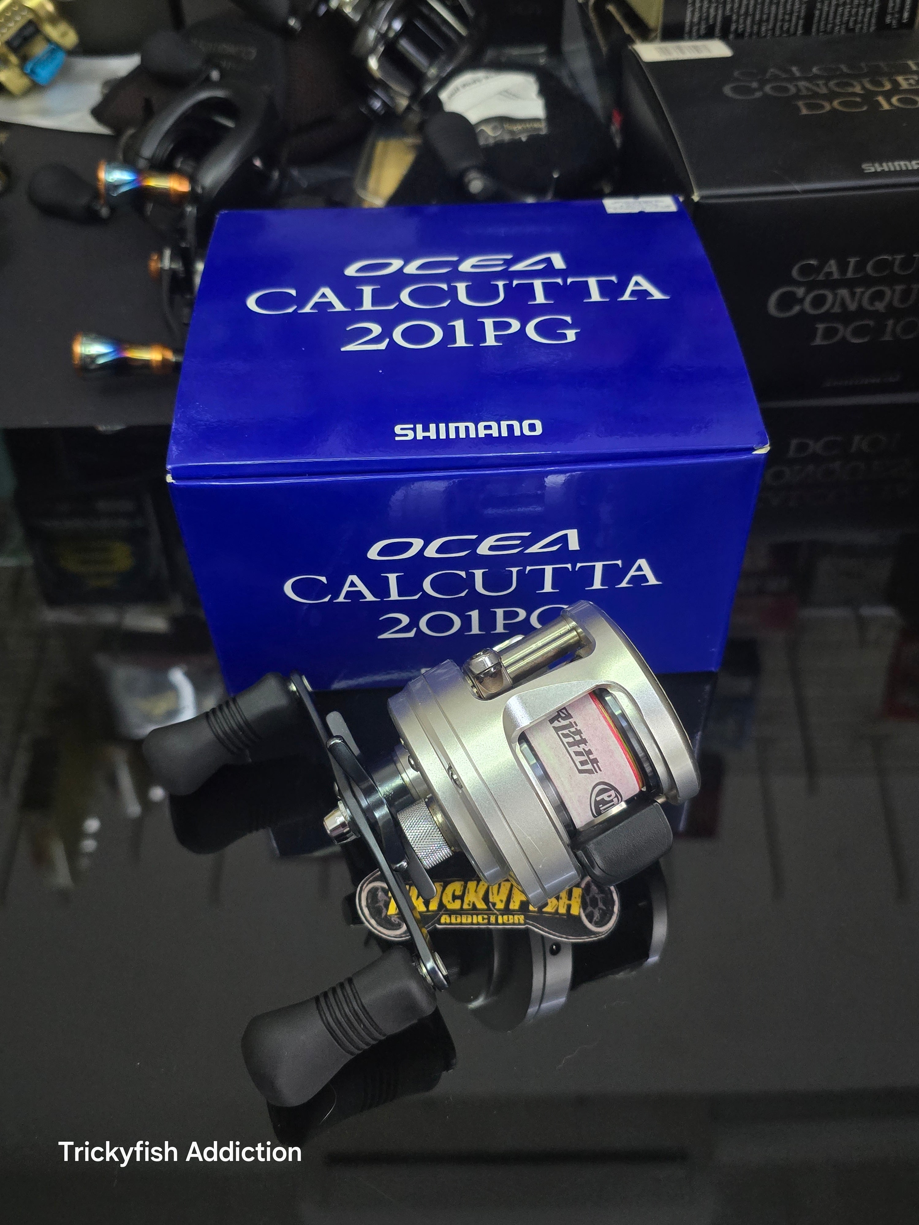 12 Ocea Calcutta 201PG – TRICKYFISH