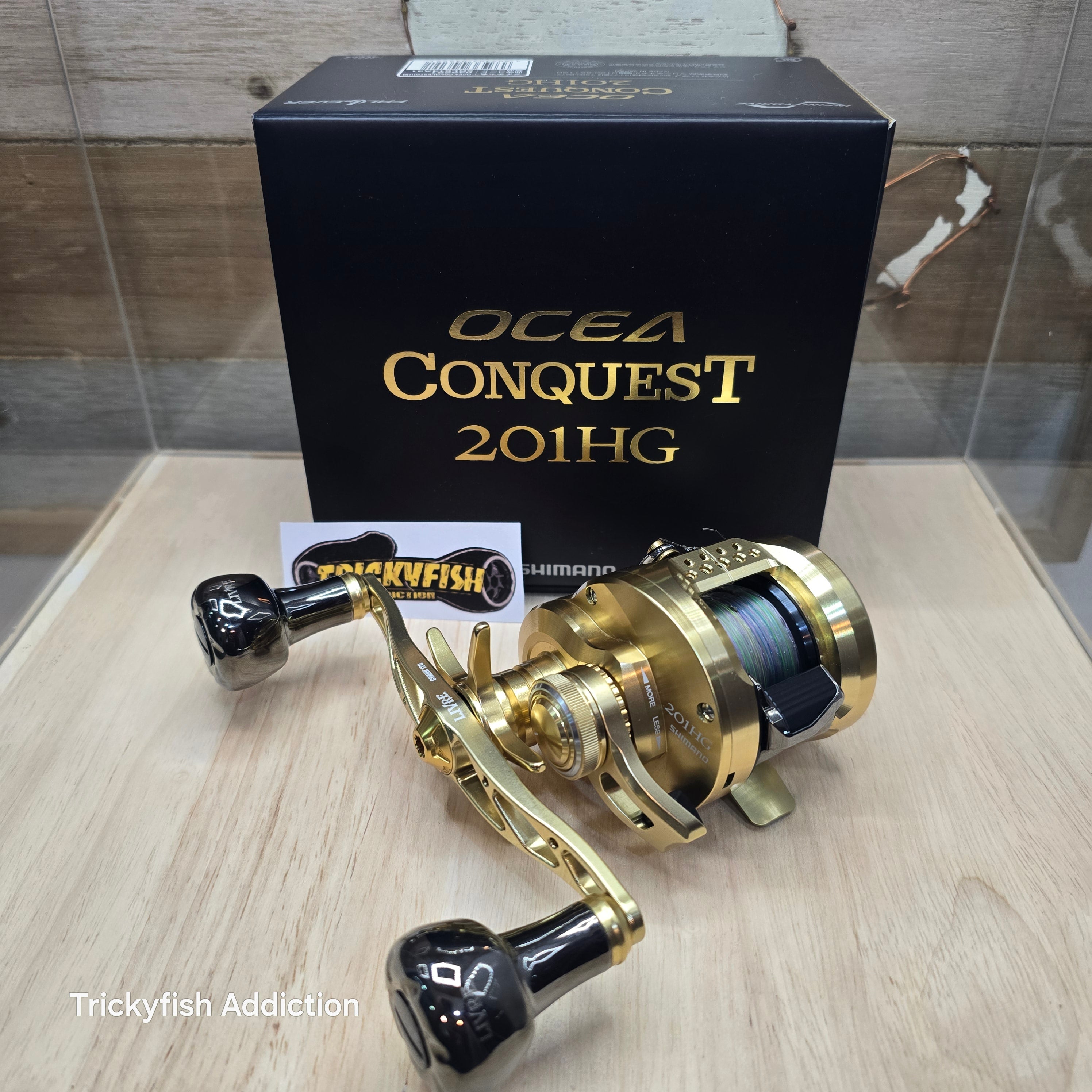 USED A] 22 Ocea Conquest 201HG Custom Livre – TRICKYFISH