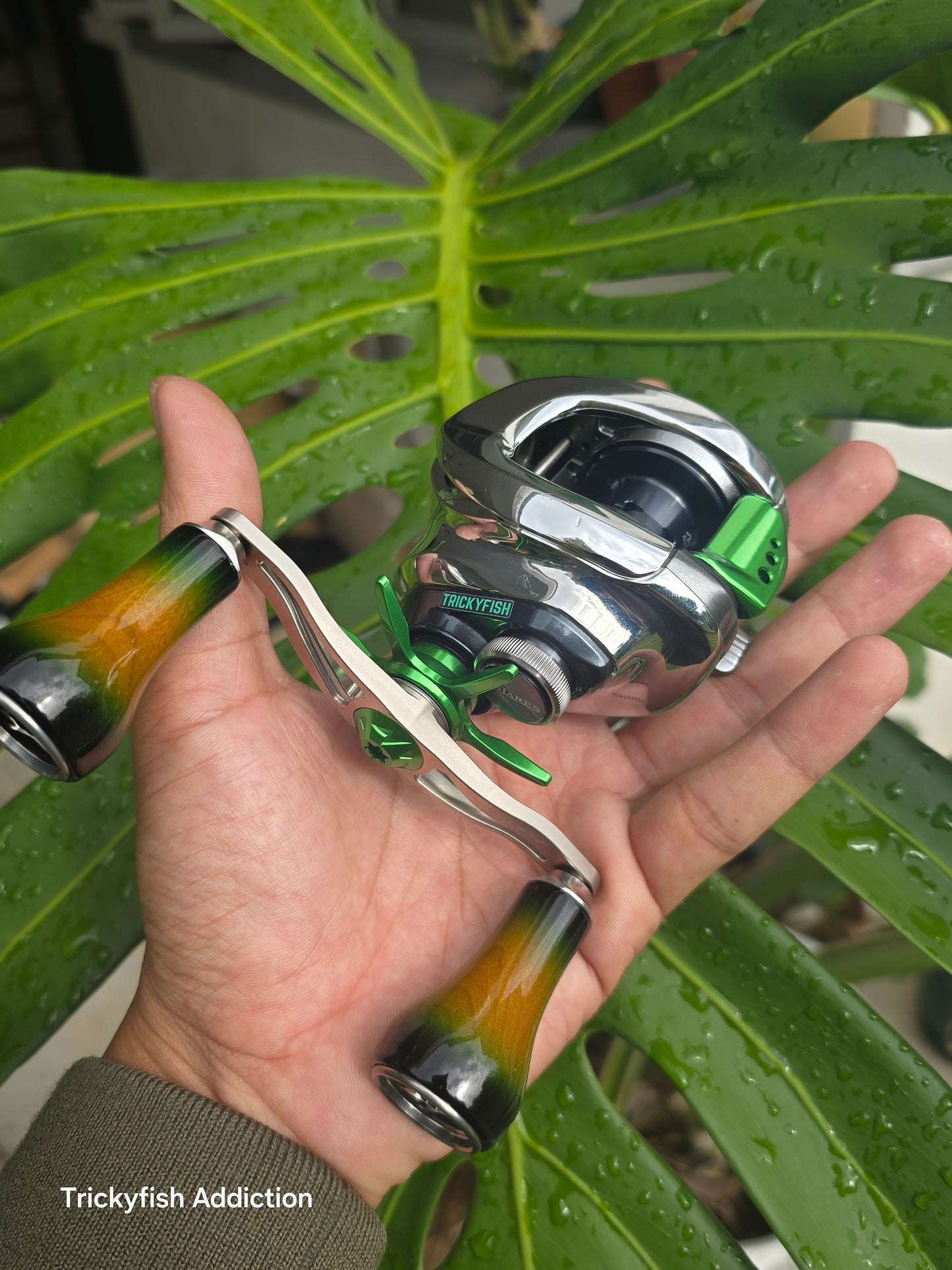 DCX x DRT Varial Wood Knob Sunburst Green