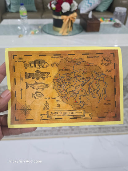 2025 Bombada Lucky Bag