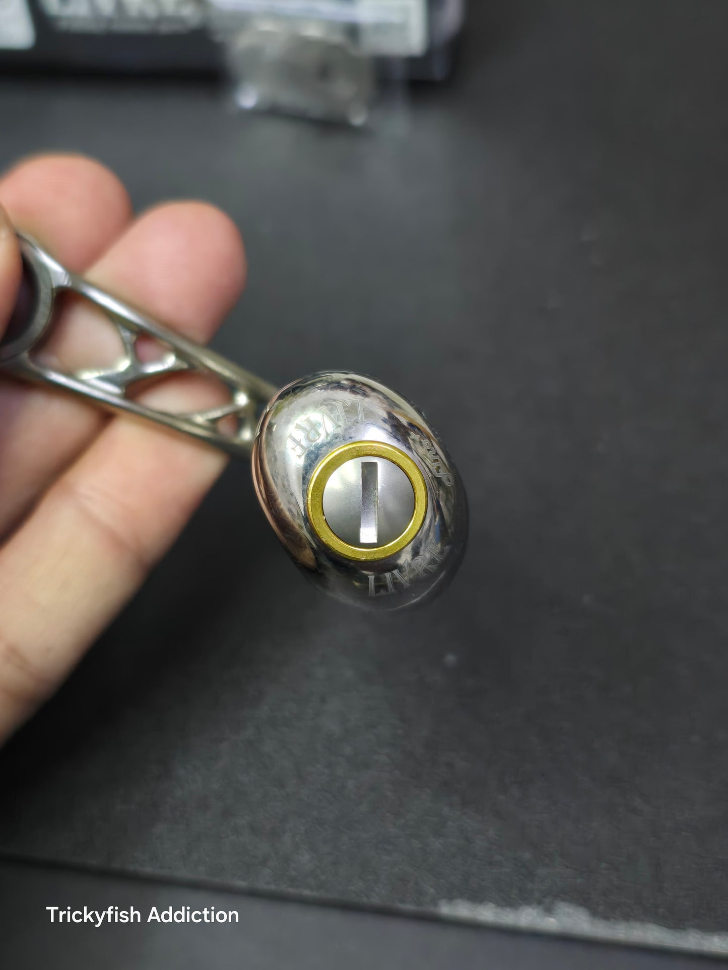 [USED B] Livre Feather 95 Titanium/Gold