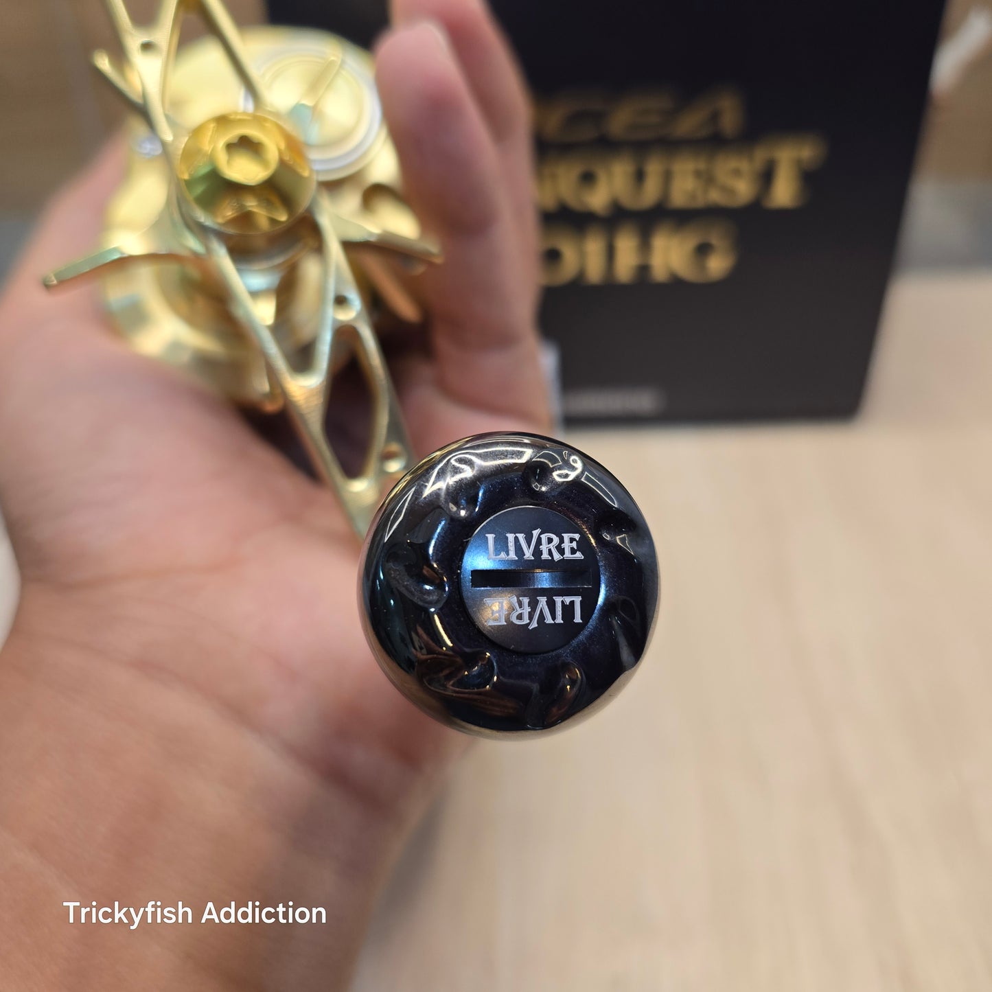 [USED A] 22 Ocea Conquest 201HG Custom Livre