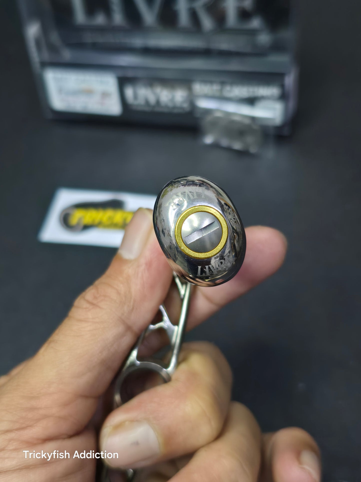 [USED B] Livre Feather 95 Titanium/Gold