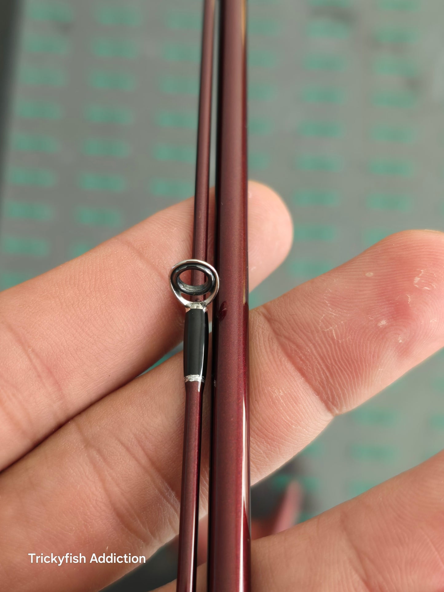 [USED A] Beams Blanc Sierra 5.2UL Equality