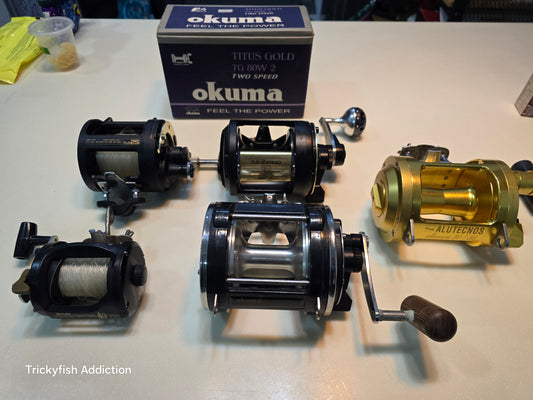[USED] Fishing Reel for Big Game & Trolling