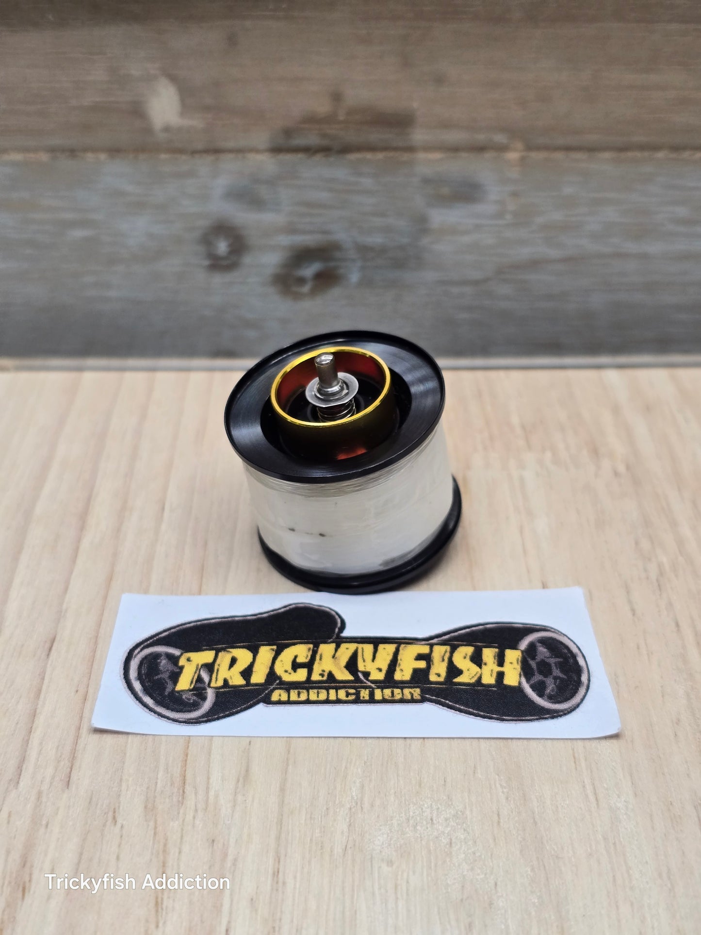 [USED A] Daiwa GIGAS TDZ Spool #B132