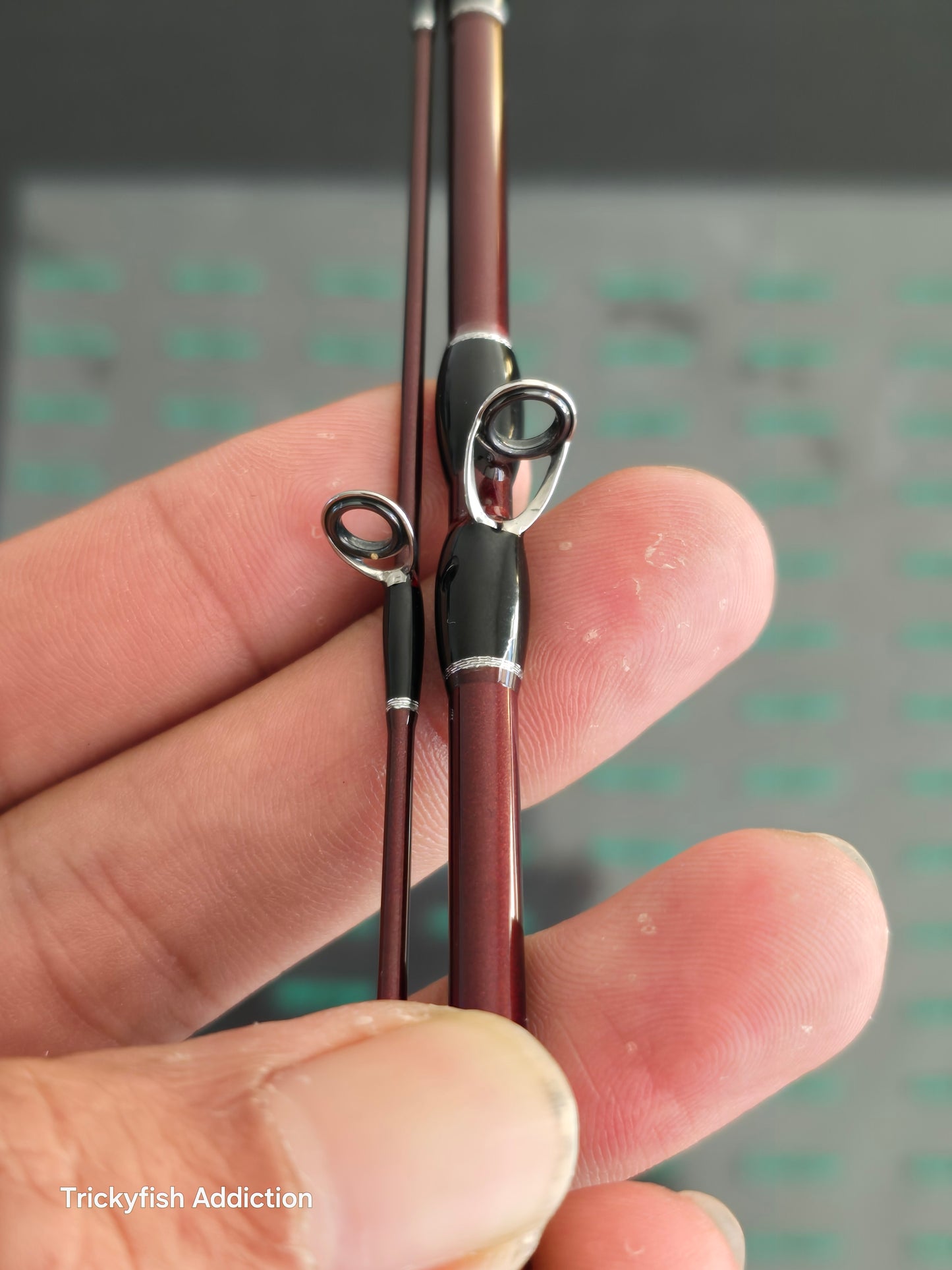 [USED A] Beams Blanc Sierra 5.2UL Equality